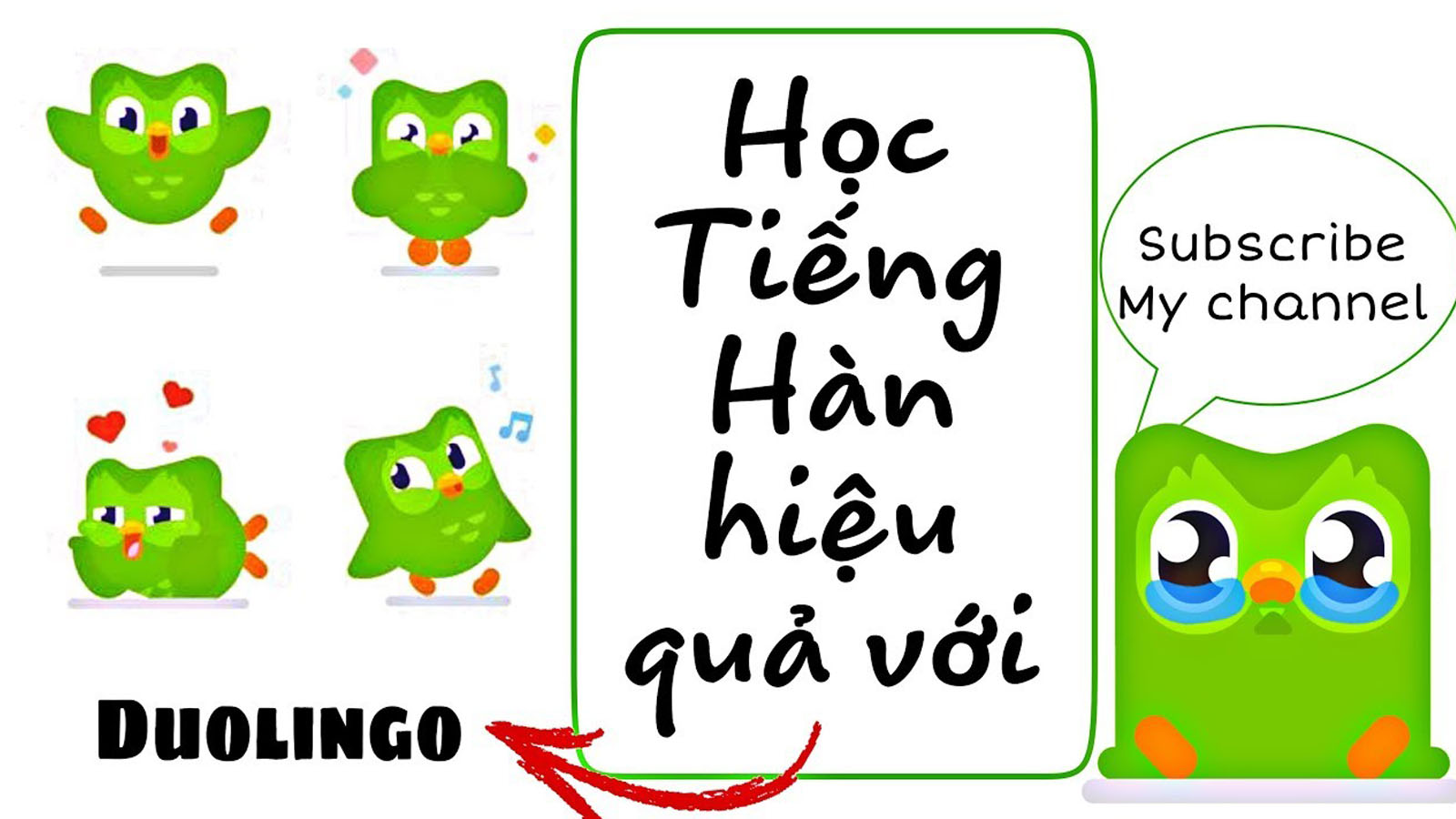 Học tiếng Hàn hiệu quả với Doulingo